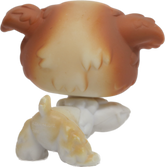 #0037 Poodle Puppy